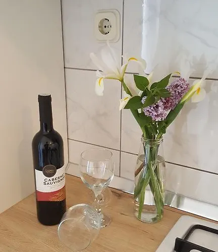 Anka Vinisce