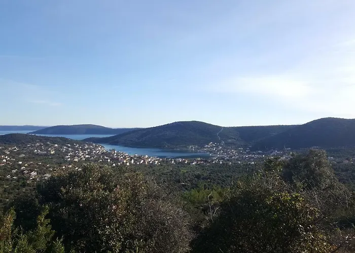 Anka Vinisce