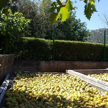 Anka Apartmán Vinišće
